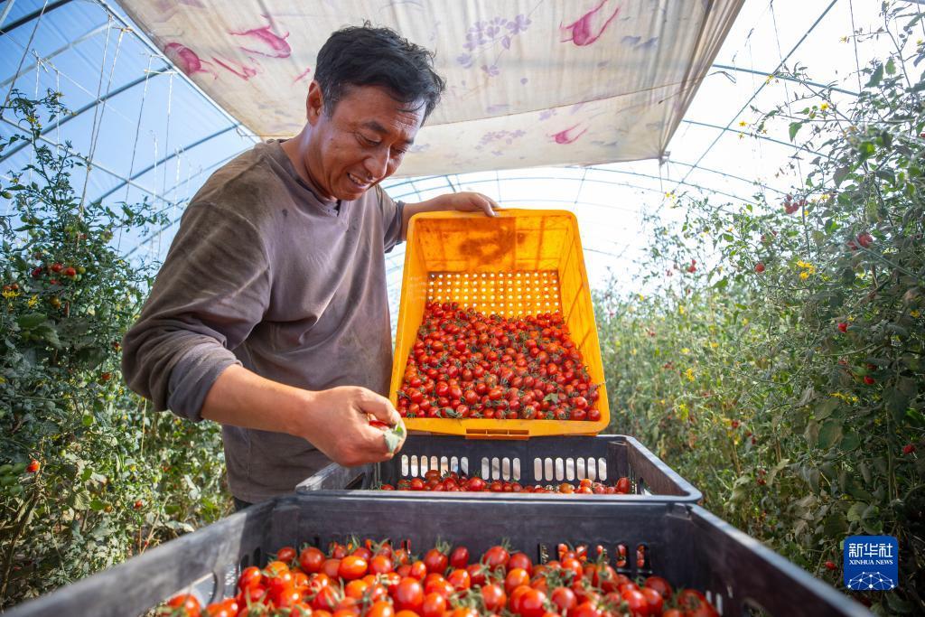 巴黎人菠菜登录